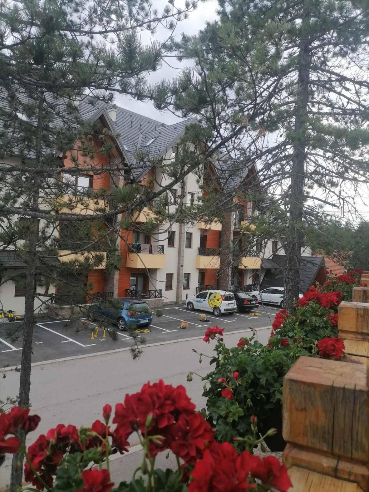 Apartman Pahuljica Tara Kaludjerske Bare Kültér fotó