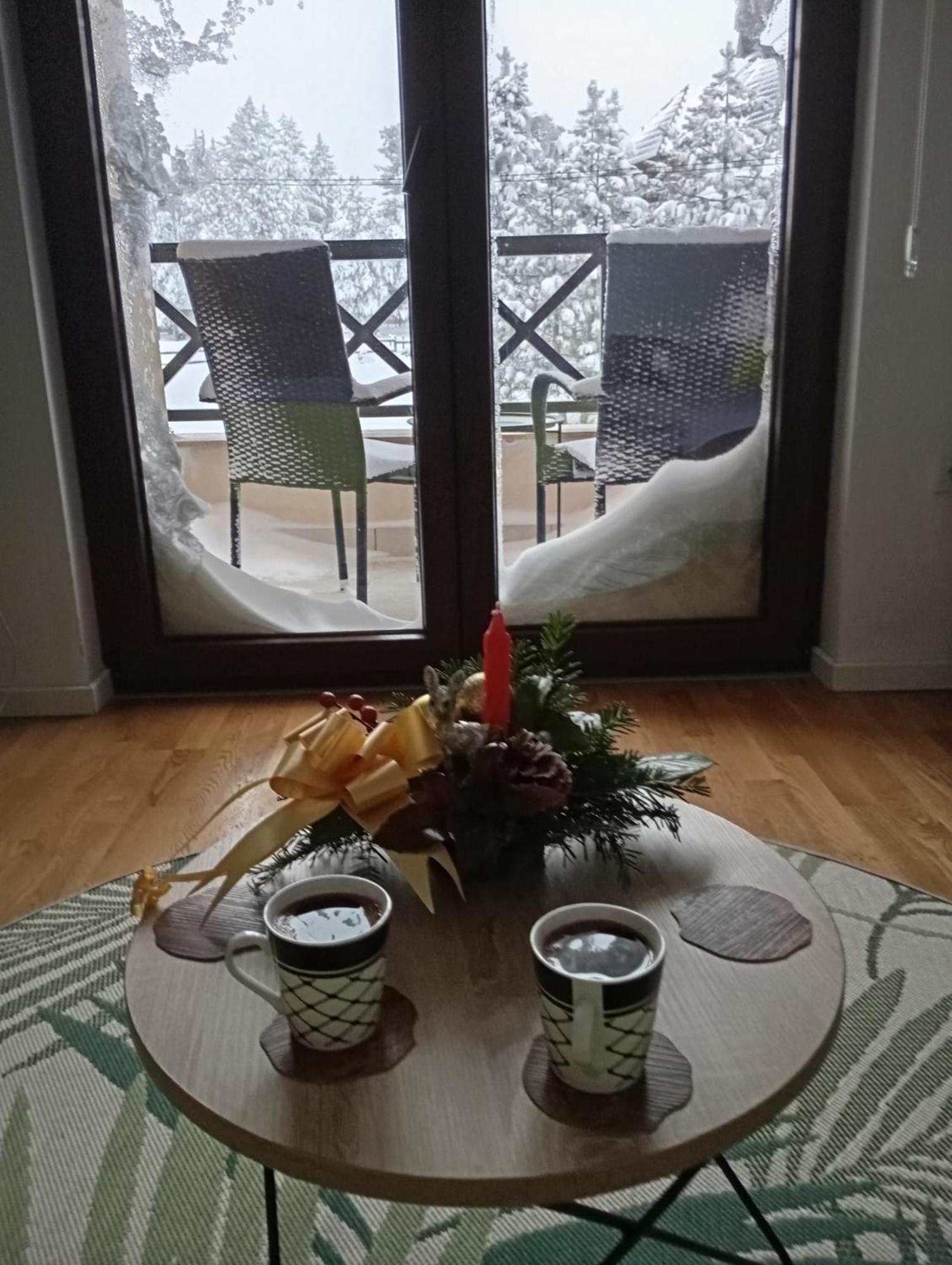 Apartman Pahuljica Tara Kaludjerske Bare Kültér fotó